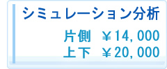 シミュレーション分析の価格
